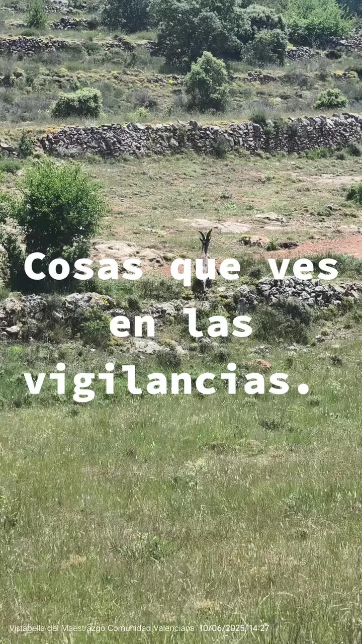 Juan de Dios Vargas - TikTok 485206